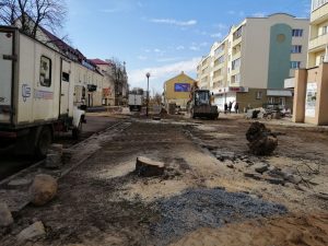 На Ожешко спилили старые каштаны. Высадят ли замену? На Ожешко спилили старые каштаны. Высадят ли замену?