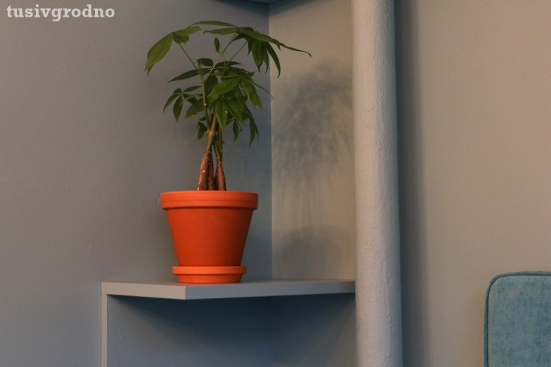 Восточный кофе по-новому и выпечка круассанов на месте. В Гродно открылось кафе “Дели”, и оно не про Индию