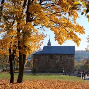 "Тут был..." и счетчик молитв. О чем были древние граффити и как их найти в Коложской церкви