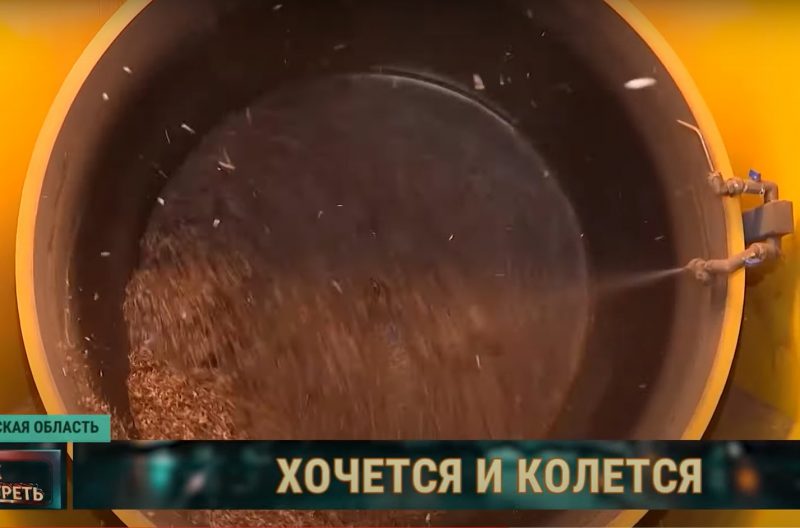 Зіма - час збору ўраджаю. Як у Гродзенскай вобласці вырошчваюць шышкі для ўсёй Беларусі