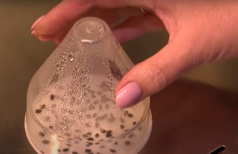 Зіма - час збору ўраджаю. Як у Гродзенскай вобласці вырошчваюць шышкі для ўсёй Беларусі