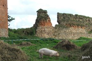 Кревский замок.