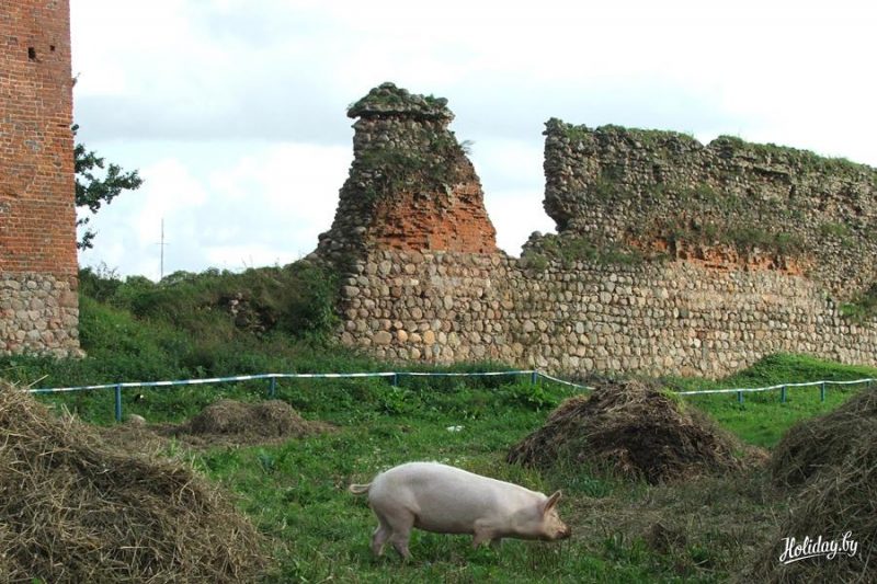 Кревский замок.