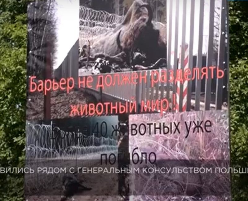 интиправительственный плакат у польского консульства