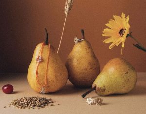 украшения belaruskicry беларускикрай карабин кулон брошка и запонки