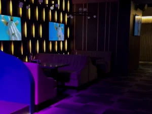 Закрытый клуб для творческих людей организовали в Гродно. Попасть можно только по знакомству Караоке-бар "Эхо"