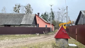 В Беловежскую пущу пришел медведь Платформа для птичьего гнезда