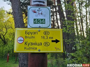 Очереди на границе снова растут — на этот раз авто скапливаются на выезде из Беларуси в Польшу 