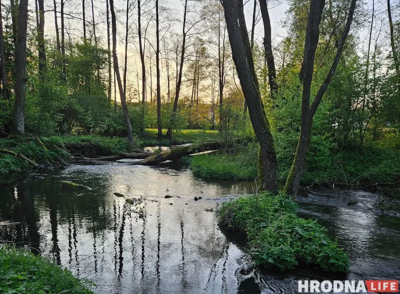 Лососянку в Гродно начнут расчищать: она станет зоной отдыха Лососянка