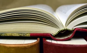 Книги. Иллюстративное фото: pixabay.com