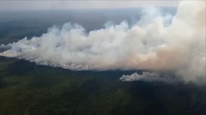Помните запах гари и дымку в Гродно? Нашли вероятную причину - она связана с радиацией Дым от пожара в лесхозе. Источник: Скриншот БелТА видео пресс-службы Минлесхоза