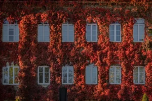 Туристка приехала посмотреть на известную фотозону Гродно и разочаровалась Главный корпус ГрГУ в октябре