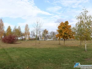 Между кладбищем и “Азотом” построят торгово-выставочный центр Участок около "Гродно Азот" и кладбища. Фото: гродненский центр недвижимости