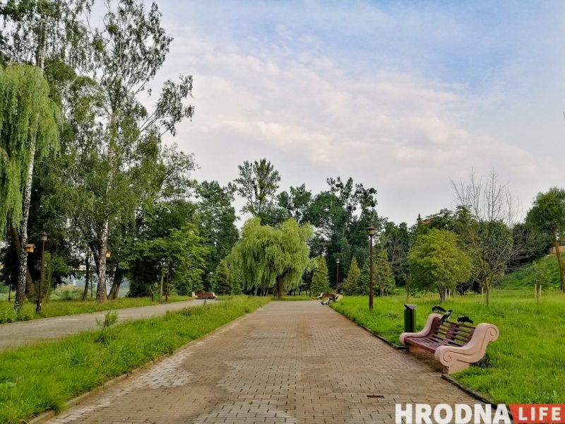 Вероятно, в Гродно станет меньше зелени — ЖКХ хочет спилить деревья, которые мешают зданиям