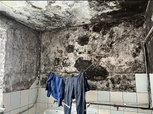 Гродненец показал в TikTok общежитие на Гоголя. Фото ужасают Помещения на Гоголя, 6.