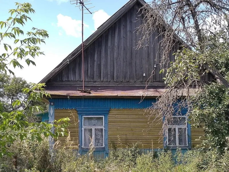 В Гродненской области женщина спасала дом своей матери, который хотели забрать чиновники. Когда дома признают пустующими? Когда дома признают пустющими?