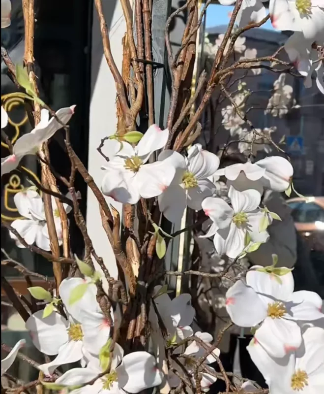 Фотозона у магазина Angel to Angel