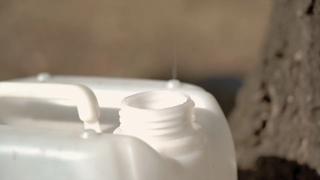 Добыча березового сока. Фото: Hrodna.life / MOST