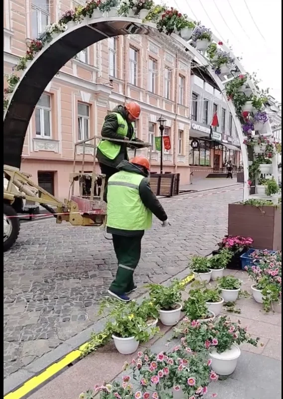 Арки на Советской уже украсили цветами — горожане сравнивают  улицу с «маленькой Голландией» 