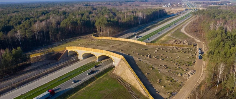 Гродзенскія ўлады агародзяць трасы ад дзікіх жывёлін. Папярэднія спробы аказаліся неэфектыўнымі