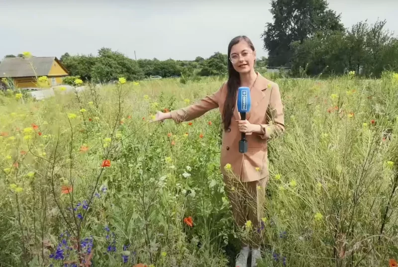 Поле с маками