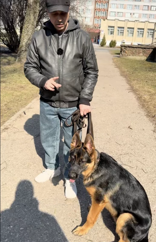 Как найти подход к собакам и побороть агрессию - рассказывает зоопсихолог из Гродно