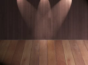 В Гродно открывается театральная студия “ТЕМА” Сцена.