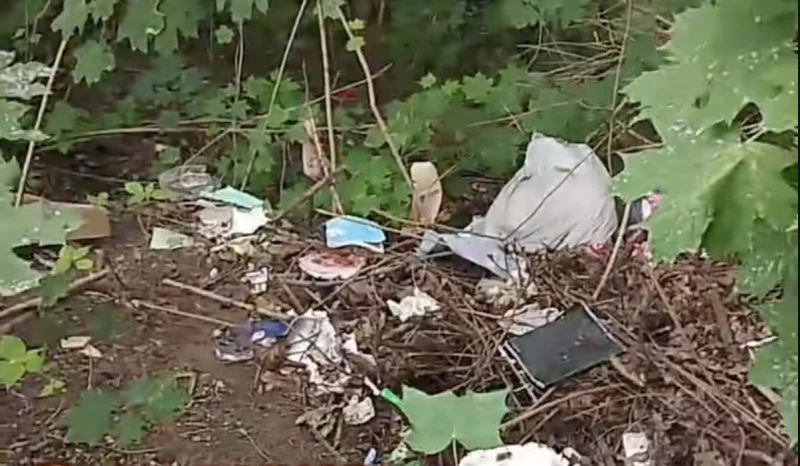 В Гродно появилась стихийная свалка. Что могут сделать горожане?