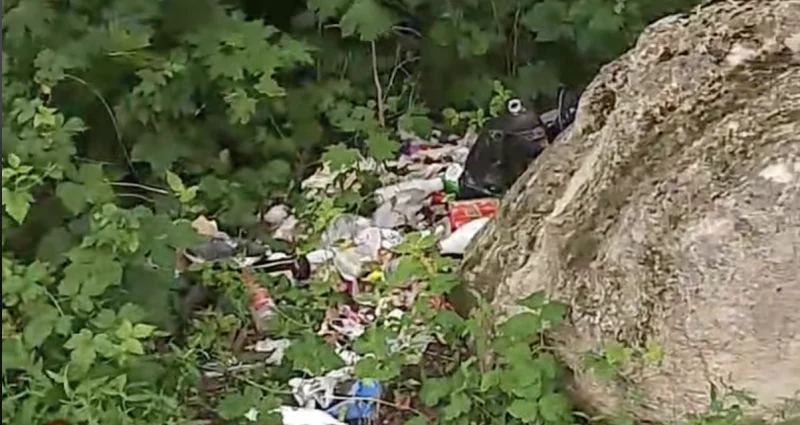 В Гродно появилась стихийная свалка. Что могут сделать горожане?