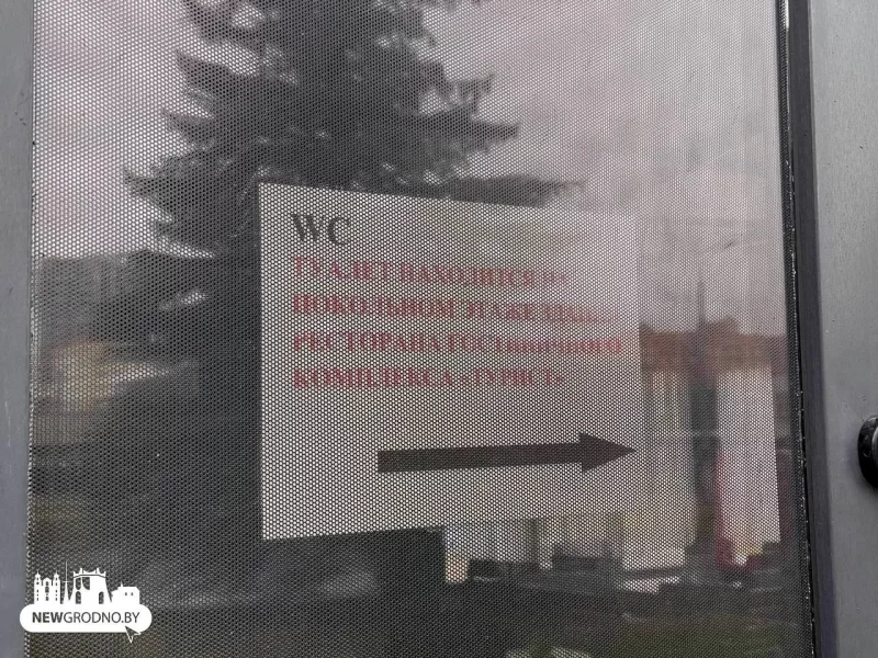 Посетители кафе в Гродно справляли малую нужду "в ёлках". После жалоб там установили биотуалет