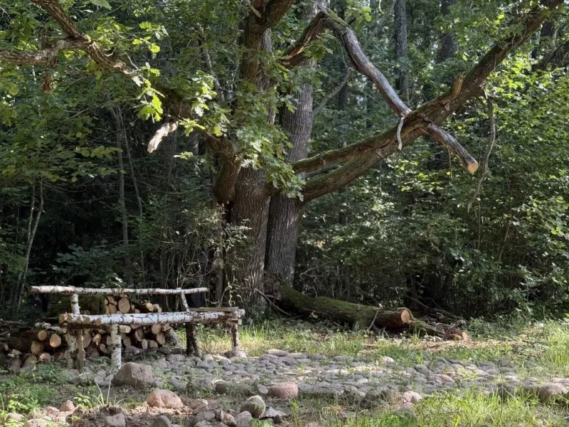 Эко-тропа в Зельвенском районе