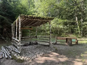 Инфостенды, качели и «сказочные» объекты: в Зельвенском районе появилась новая эко-тропа Эко-тропа в Зельвенском районе