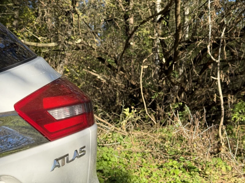 Деревья дорога Скидель