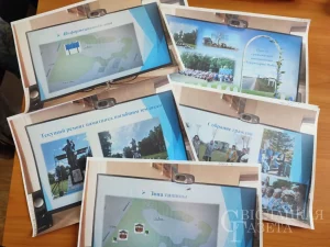 "Пробейте, пожалуйста". Как в Гродно одним талончиком ломали систему Гражданские инициативы Свислочь