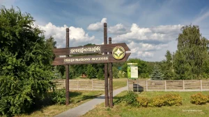 В Скидельском дендропарке появится музей лесной истории 