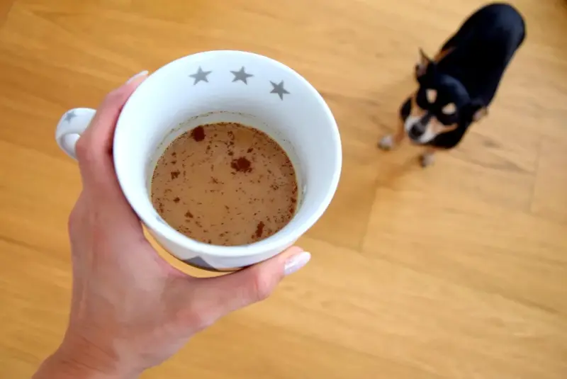 кофе собака