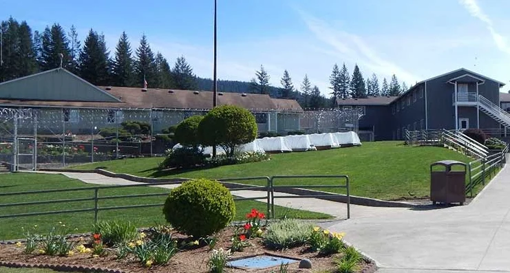 Беларуска прапанавала гродзенскай турме пасяліць у іх катоў для рэсацыялізацыі зняволеных. Вось што з гэтага выйшла