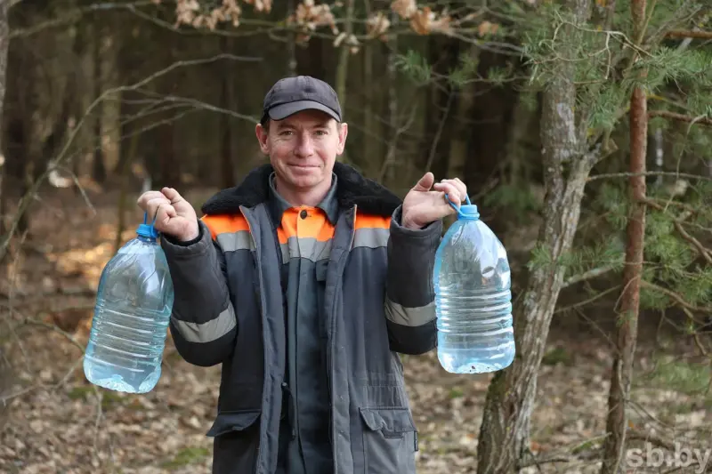 В лесхозах области уже можно купить березовый сок. Сколько он стоит? В лесхозах области уже можно купить березовый сок. Сколько он стоит?