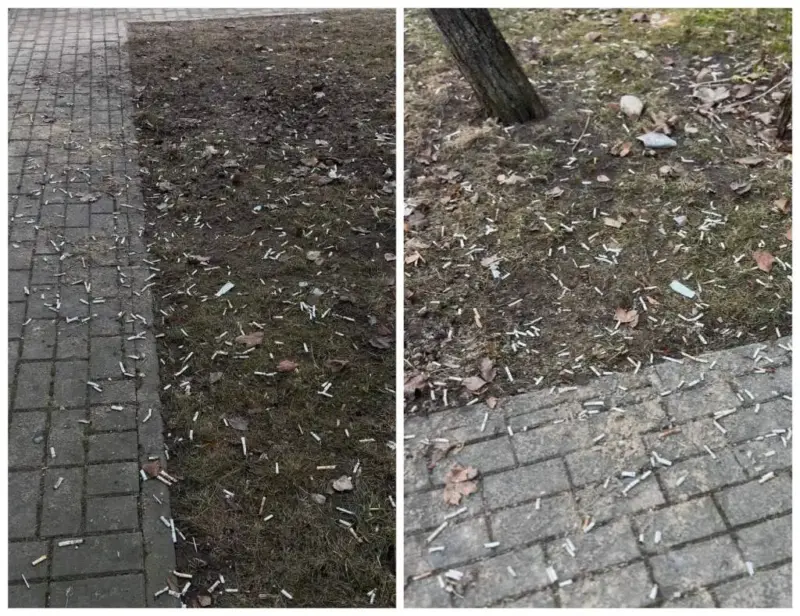 Жители одного из домов в Гродно жалуются на сотни сигаретных бычков во дворе