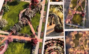 Бархатцы, валуны, беседка и статуя. В Гродно появится “женский” сквер Сквер Гродно