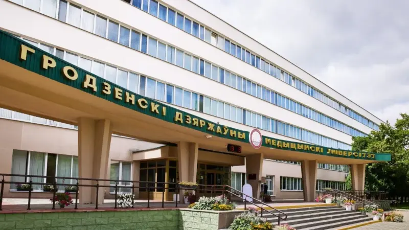 “Обучать платников невыгодно”. В гродненском меде исчезла специальность, станет больше диагностов и меньше педиатров медуниверситет