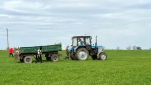 Мосты заключенные ками