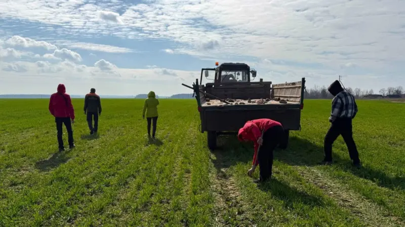 “Труд дисциплинирует”. Около Мостов бывших заключенных отправили собирать камни