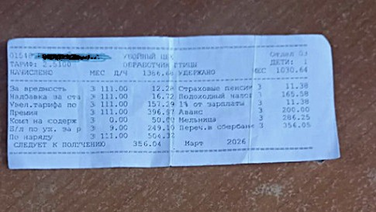 “Невозможно прожить на такую зарплату”. Работница “Лидахлебопродукт” вызвала споры расчетником