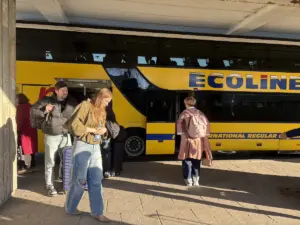 На литовской границе в "Мядининкай" ночью сгорело здание таможни: движение открыли (обновлено) На литовской границе в "Мядининкай" ночью сгорело здание таможни: движение открыли (обновлено)