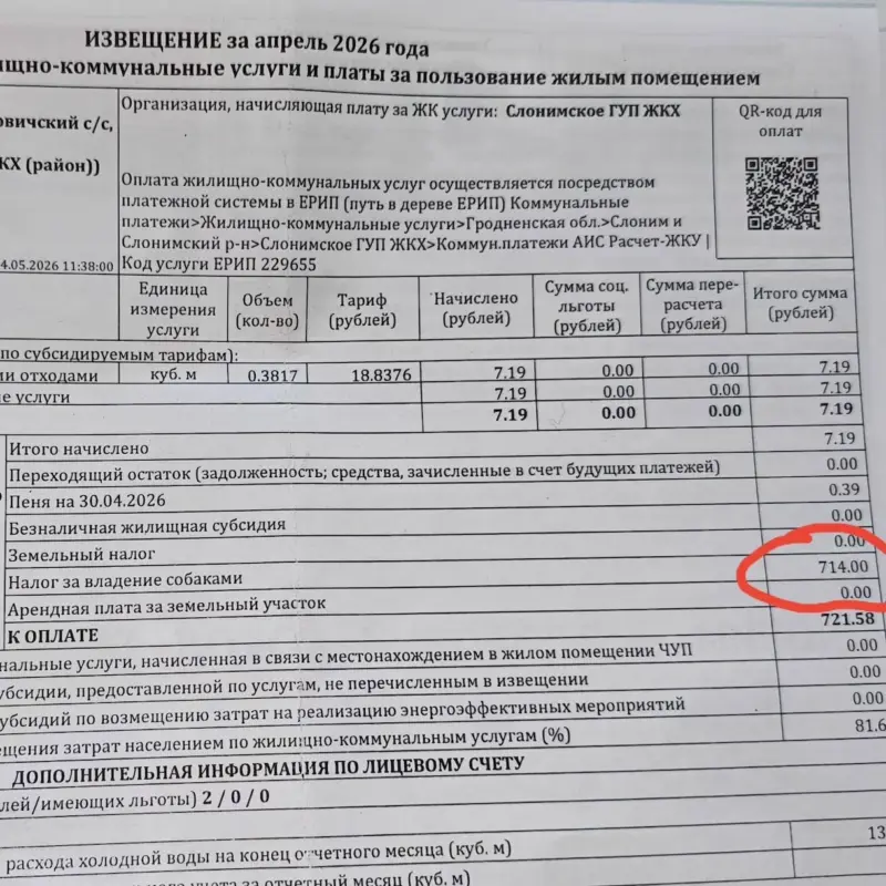 Зоо-волонтерка из Слонима рассказала о налоге на собак. Сумма — более 700 руб