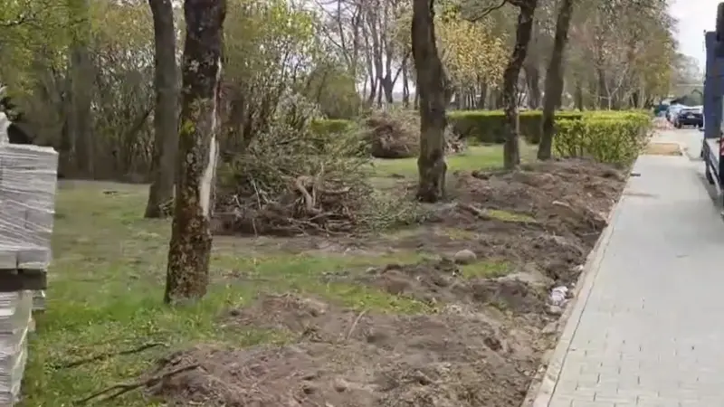 У Гродне працягваюць рэканструяваць сквер на Дарвіна. Жыхары дамоў скардзяцца на высечку дрэў і адсутнасць праекта