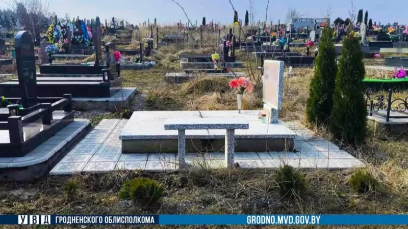 Жительница Гродно украла на кладбище четыре туи. Теперь ей грозит три года колонии кладбище Аульс