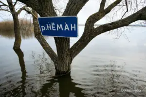 Река Неман © LookByMedia