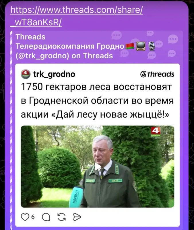 Гектары «ўсохлі». ДзяржТБ заблыталася ў лічбах пасадак: спачатку планавалі 1750 га, а пазней — толькі 300